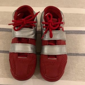 LeBron Sneakers (2006)